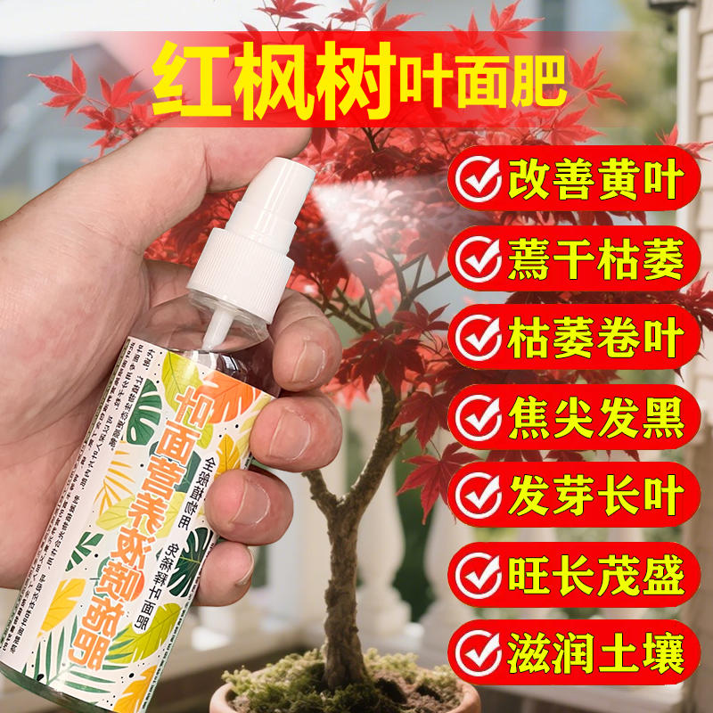 红枫树专用肥料盆栽羽毛枫黄金流泉枫金隐秋月土壤营养液叶面肥料