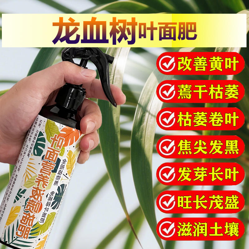 龙血树专用肥料树苗营养液腐烂发软干瘪叶尖焦黄干枯黑斑叶面肥料