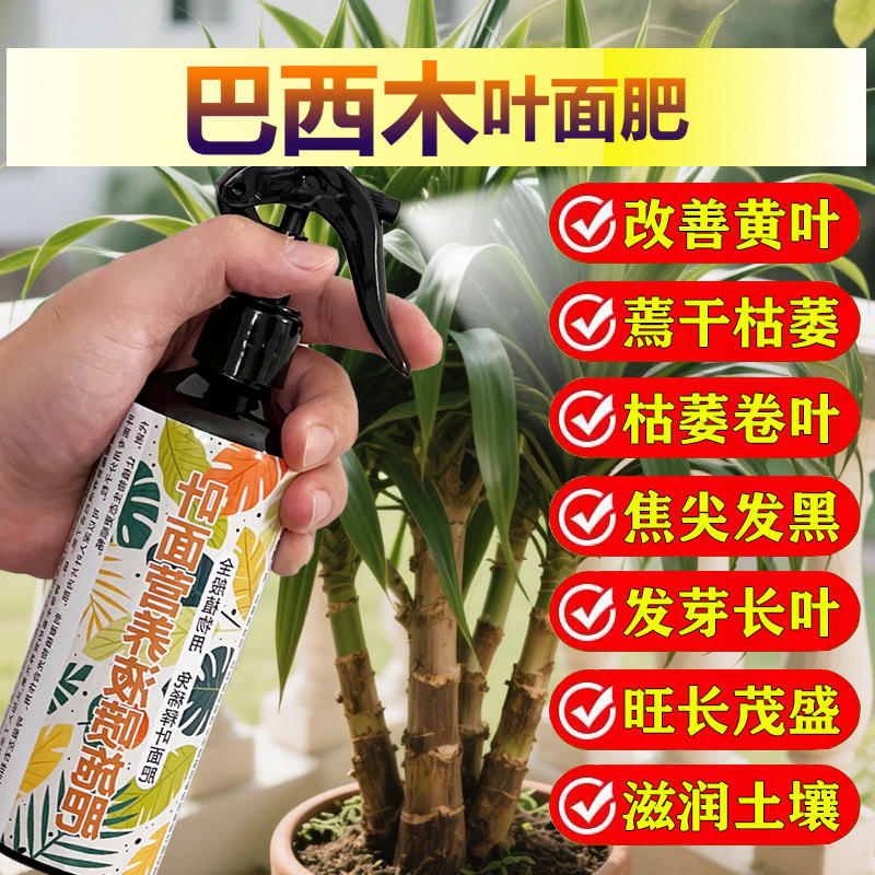 巴西木专用肥料老桩树苗土壤复合营养液叶面肥氮磷钾肥巴旦木肥料