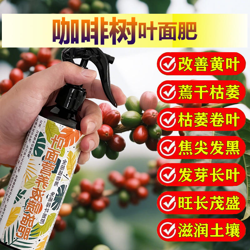 咖啡树专用肥料盆栽营养液开花小苗旺长挂果保果增产增收叶面肥料