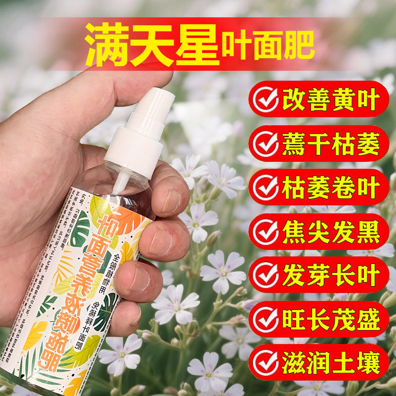 满天星专用肥料养殖盆栽满天星专用土满天星花养护营养液叶面肥料