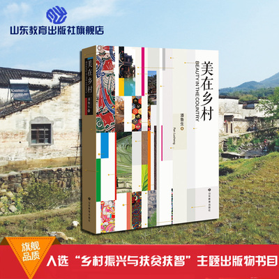 美在乡村  中国民间文艺家协会主席、山东省文联主席、山东工艺美术学院院长潘鲁生作品 乡村文化与民生发展的思考与调研结集