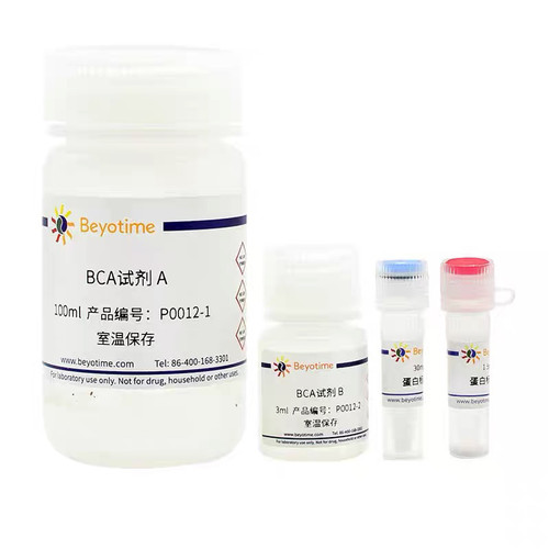 BCA蛋白浓度测定试剂盒P0012S P0012  碧云天