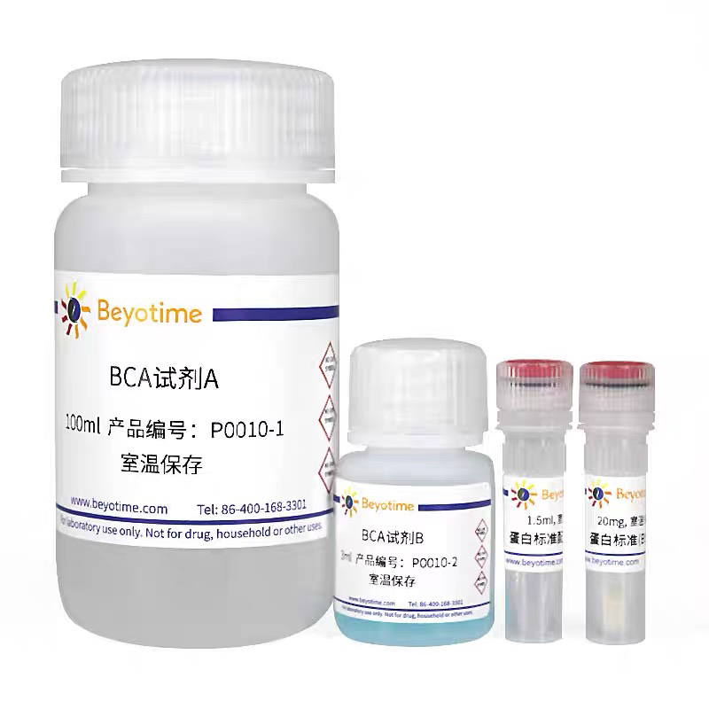 BCA蛋白浓度测定试剂盒(增强型) P0010S  P0010  碧云天