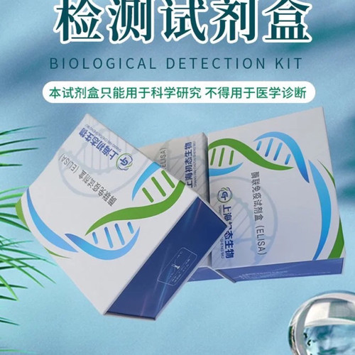 鱼白介素12(IL12) ELISA 试剂盒