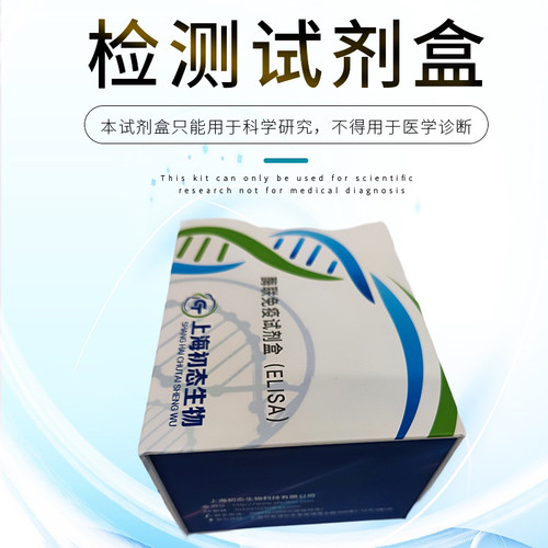 钙调素依赖蛋白激酶II(CAMK II)酶联免疫吸附测定试剂盒