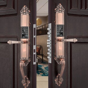 防水防冻防晒室外对开大门指纹锁欧式双开门欧式密码锁电子智能锁