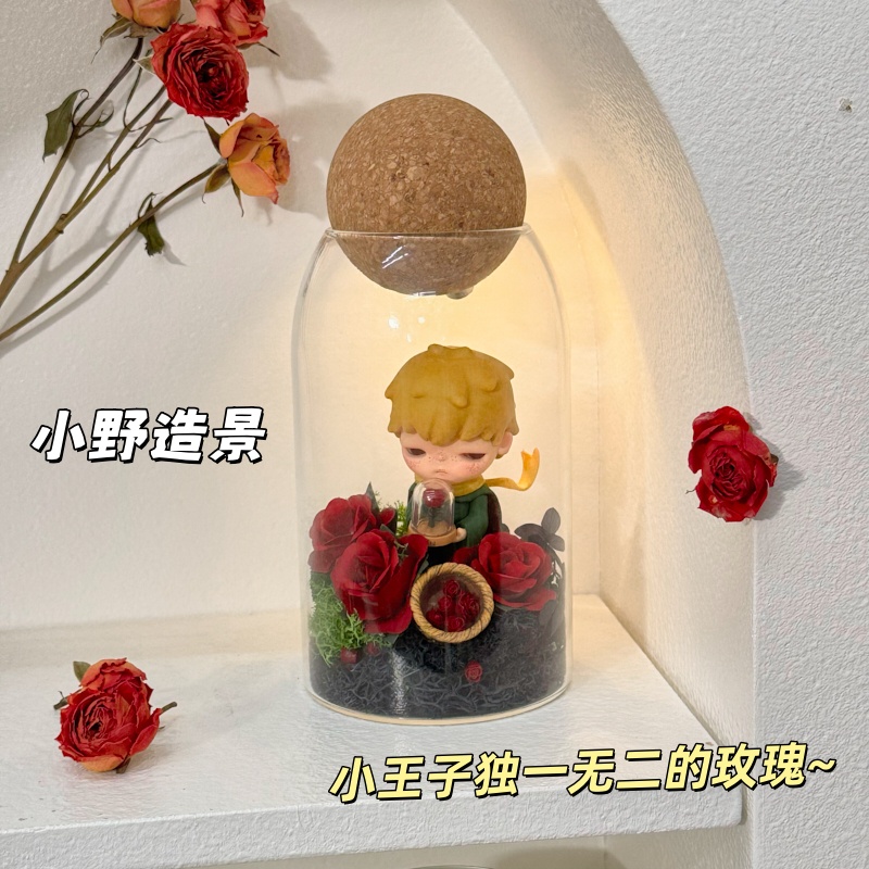 泡泡玛特小王子收纳展示盒桌面摆件手办置物架透明玻璃罩防尘罩子