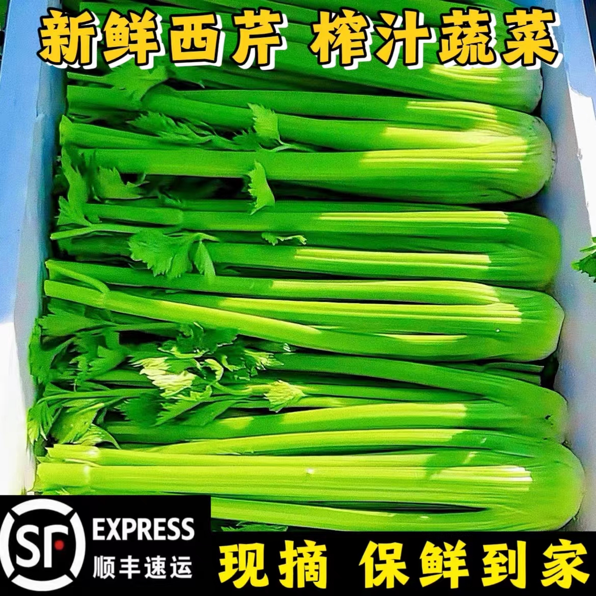 西芹新鲜10斤榨汁专用山东寿光去叶大芹菜顺丰包邮现砍现发蔬菜脆