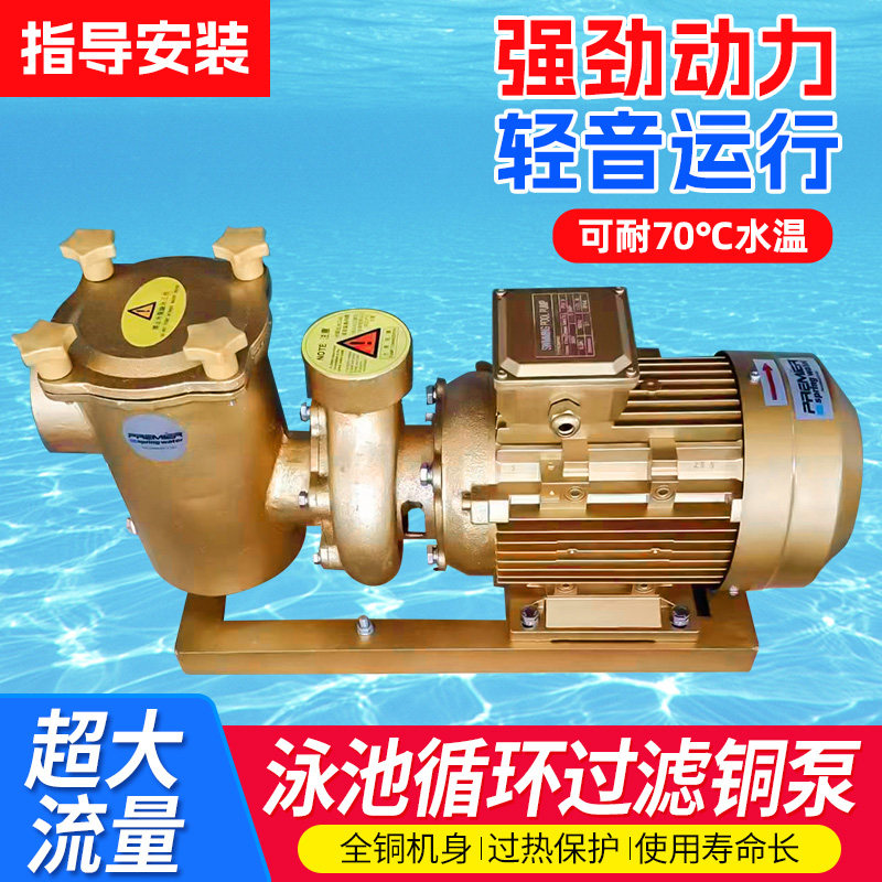游泳池循环水铜泵耐高温带毛发