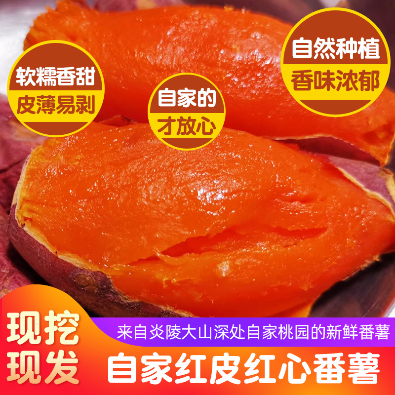 (售罄 勿拍 明年见)湖南炎陵高山农家番薯红皮红心新鲜番薯西瓜红