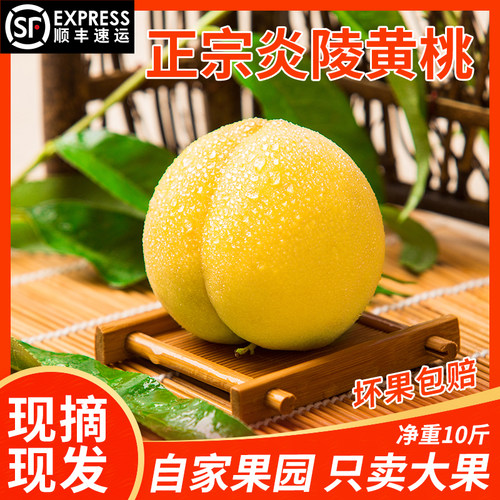 湖南正宗炎陵黄桃应季高山水果红心现摘现发自家果园净果10斤包邮