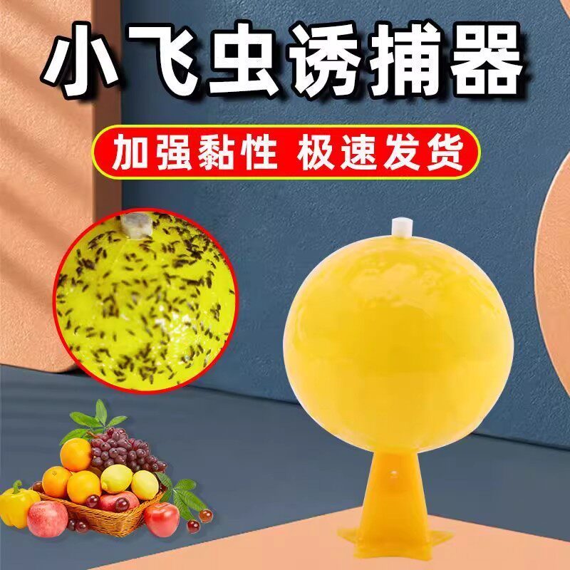 家用多功能果蝇小飞虫粘虫球