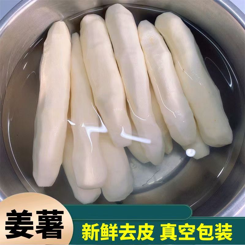 潮汕汕头特产批姜茨现挖现发现有机保证新鲜去皮真空当季姜薯新鲜