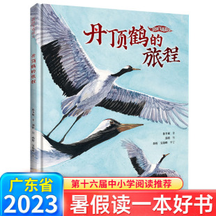 我 飞鸟朋友系列 8岁儿童绘本图画故事书生命自然教育课外书9787544876995 丹顶鹤 旅程 保冬妮著 2023广东省暑假读一本好书