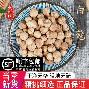 中药材精选白豆蔻 香料白豆蔻粉白寇白寇仁白蔻白扣白叩50克