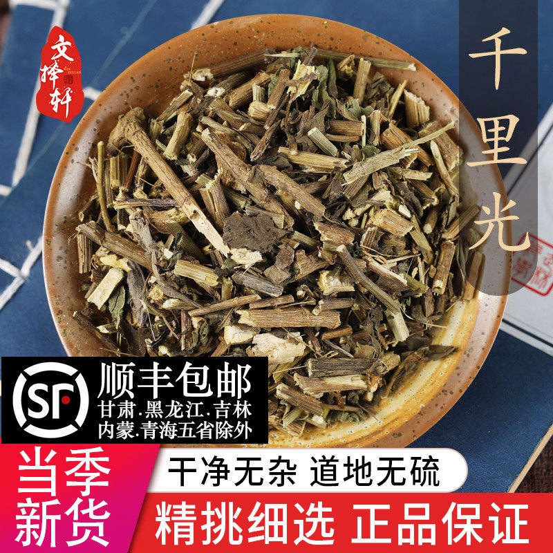中药材精选千里光 九里明 正品新货九里光 黄花母 一扫光50克