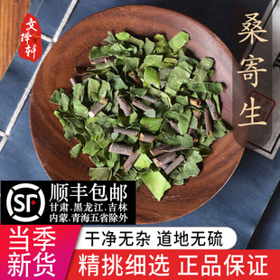 正品店铺正品精选新货桑寄生寄生50克桑寄生粉桑寄生茶新鲜干货