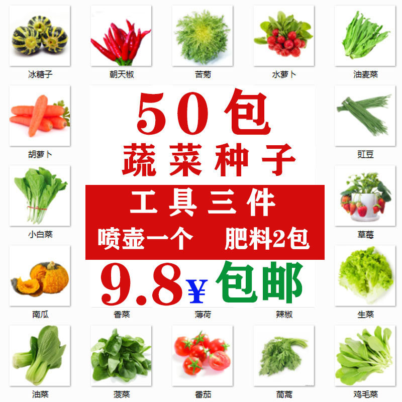 苦菊英文价格 苦菊英文图片 星期三