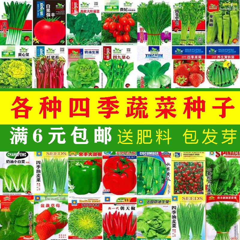 秋葵羊角蜜青瓜红柿蔬菜种子