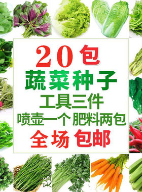 蔬菜种子四季播阳台韭菜草莓籽孑