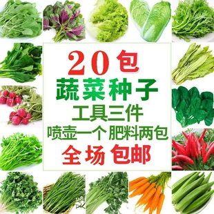 蔬菜种子四季 播阳台农家盆栽生菜菠菜韭菜香菜草莓籽孑菜籽种大全