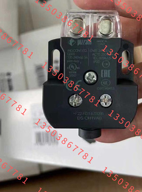 pizzato开关  DS CH1VA0