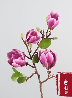 玉兰仿真花pu绢花花客客厅装饰