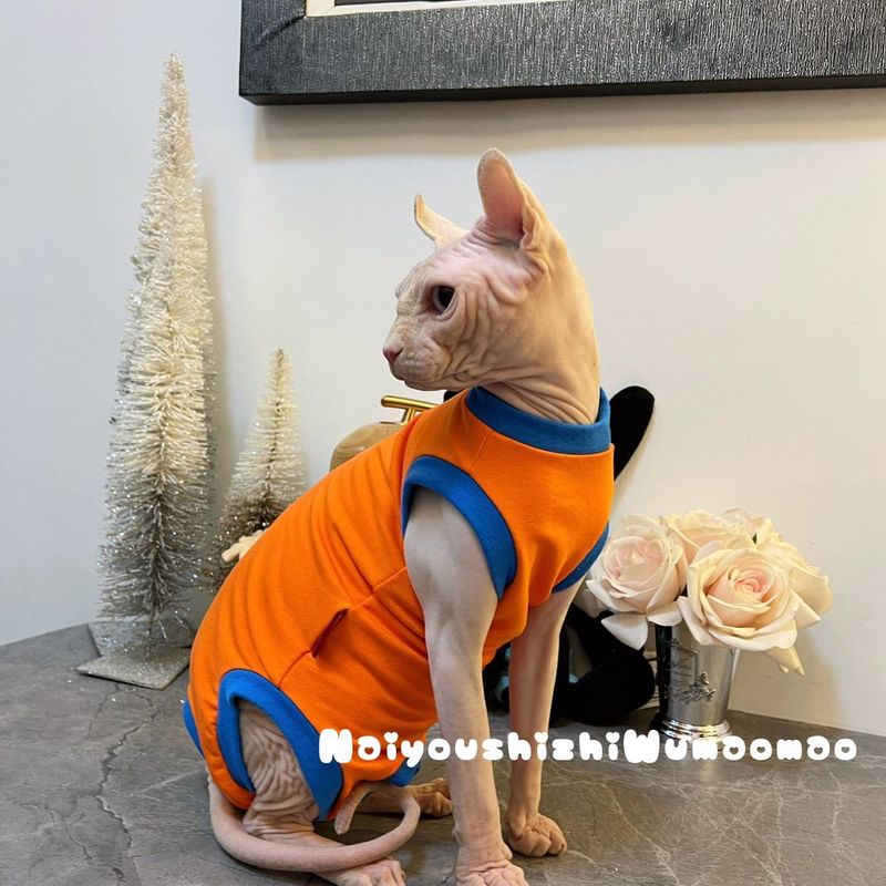 奶油是只无毛猫德文猫纯棉家居服