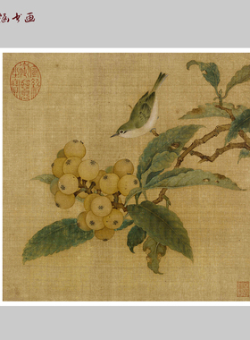 宋林椿枇杷山鸟图工笔花鸟微喷