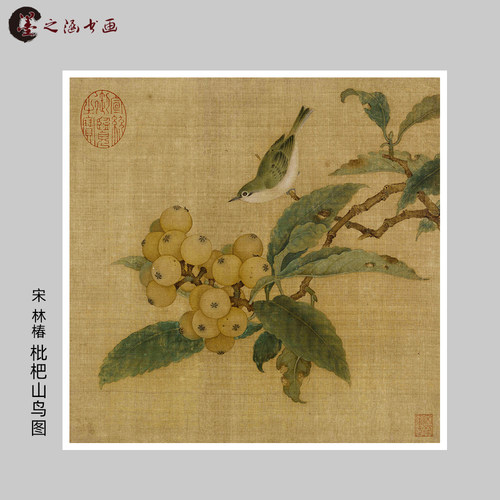 宋林椿枇杷山鸟图工笔花鸟微喷