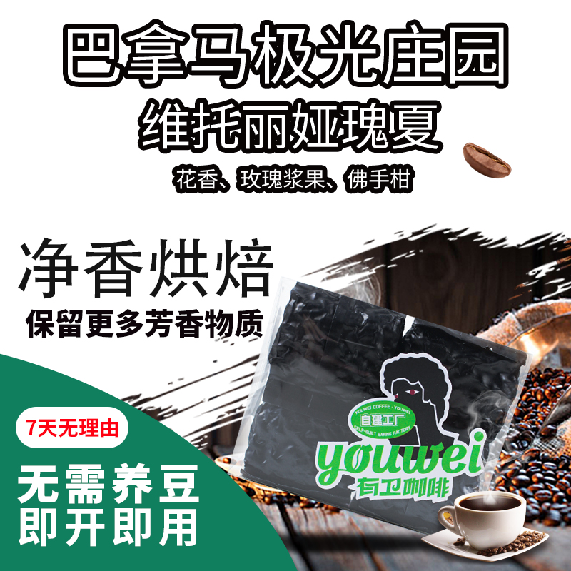 极光庄园维托丽娅瑰夏咖啡豆｜手冲意式美式摩卡虹吸冷萃冰滴咖啡