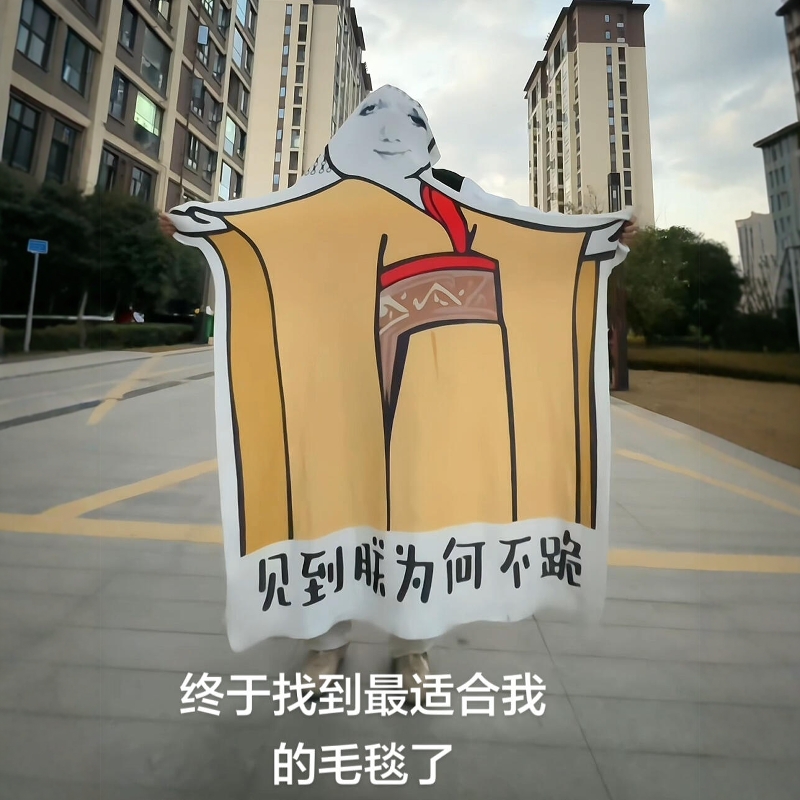 见到朕为何不跪午睡毯子