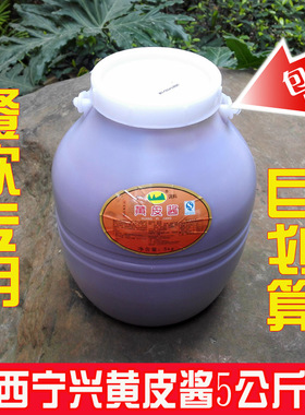 广西南宁宁兴桶装黄皮酱5000g卷筒粉肠粉拌面酱海鲜酱蘸酱调味酱