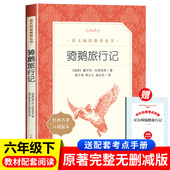 骑鹅旅行记人民文学出版 社原著正版 六年级必读课外书下册小学生快乐读书吧尼尔斯六下鲁滨孙漂流记鲁滨逊飘流记汤姆索亚历险记