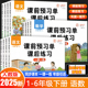 2026新版 语文数学一年级二年级三年级四五六下册课后练习题小学一课一练教材同步练习册课堂笔记预习预习资料复习 课前预习单人教版