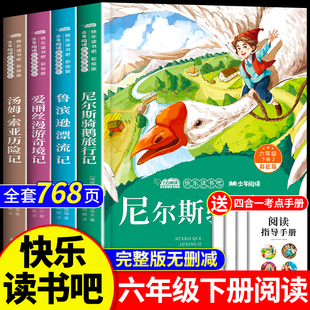 尼尔斯骑鹅旅行记六年级下册必读的课外书快乐读书吧全套4册彩绘鲁滨逊漂流记原著完整版正版爱丽丝漫游奇境记汤姆索亚历险记6年级