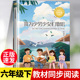 故事书6下学期小学语文教材同步阅读书课本中 课外书经典 作家作品系列青少年文学读物 六年级下册必读 我为少男少女们歌唱正版