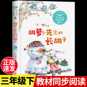 长胡子 长江文艺出版 三年级下册必读课外书王一梅童话系列 书目3儿童文学读物故事书童话集 社 小学生课外阅读书籍经典 胡萝卜先生
