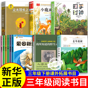 时钟让太阳长上翅膀小鹿斑比三年级下册必读课外书正版 影响孩子一生 野生朋友四季 树我所知道 世界大科学家系列丛书全套去年