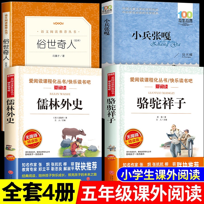 小兵张嘎五年级下册必读的课外书