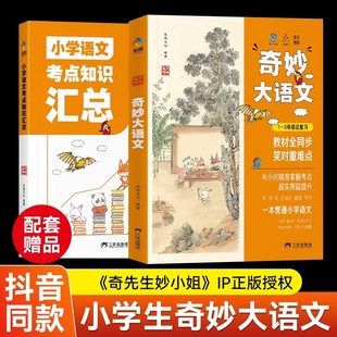 奇妙大语文 小学语文知识大全汇总总结1 抖音同款 6年级总复习三四五六年级语文阅读理解答题技巧训练榜样妈妈团分级阅读课外