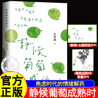 静候葡萄成熟时汪曾祺