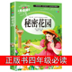 儿童版 小学生三四五年级阅读课外书必读推荐 插图无障碍阅读老师导读8 书经典 人生必读书美绘版 名著故事书 书目 秘密花园正版 经典