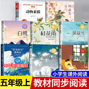 五年级上册必读的课外书慈母情深梁晓声珍珠鸟冯骥才鸟的天堂巴金我的长生果春酒桂花雨琦君散文选白鹭动物素描落花生课内作家作品