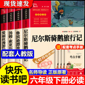 课外书原著完整版 全套4册 尼尔斯骑鹅旅行记六年级下册必读正版 鲁滨逊漂流记快乐读书吧6六下汤姆索亚历险记爱丽丝漫游奇境宾孙