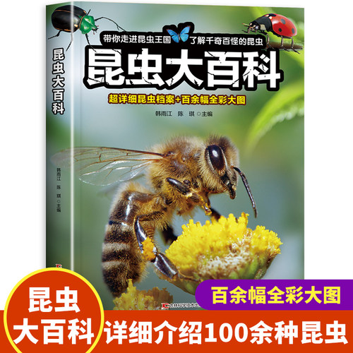 【大开本】昆虫大百科全书