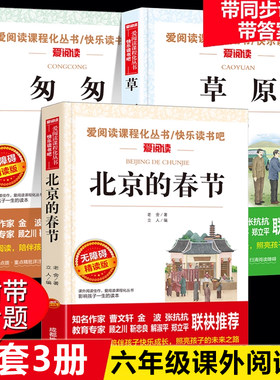 北京的春节草原匆匆全套3册