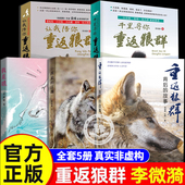 全套李微漪书籍小说千里寻你让我陪你重返狼群1 江湖我是狼原著原版 重返狼群正版 再见格林重返狼群背后 故事一匹狼 完整版 书