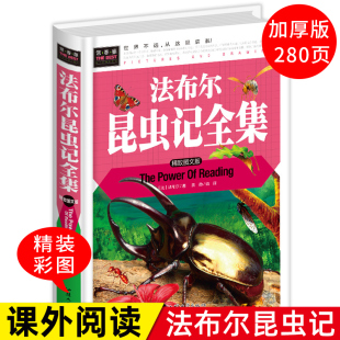 课外书四五六年级老师推荐 昆虫记法布尔正版 三年级下册必读 读物6 原著完整版 12岁小学生课外阅读书籍幼儿童故事书美绘本全集全套